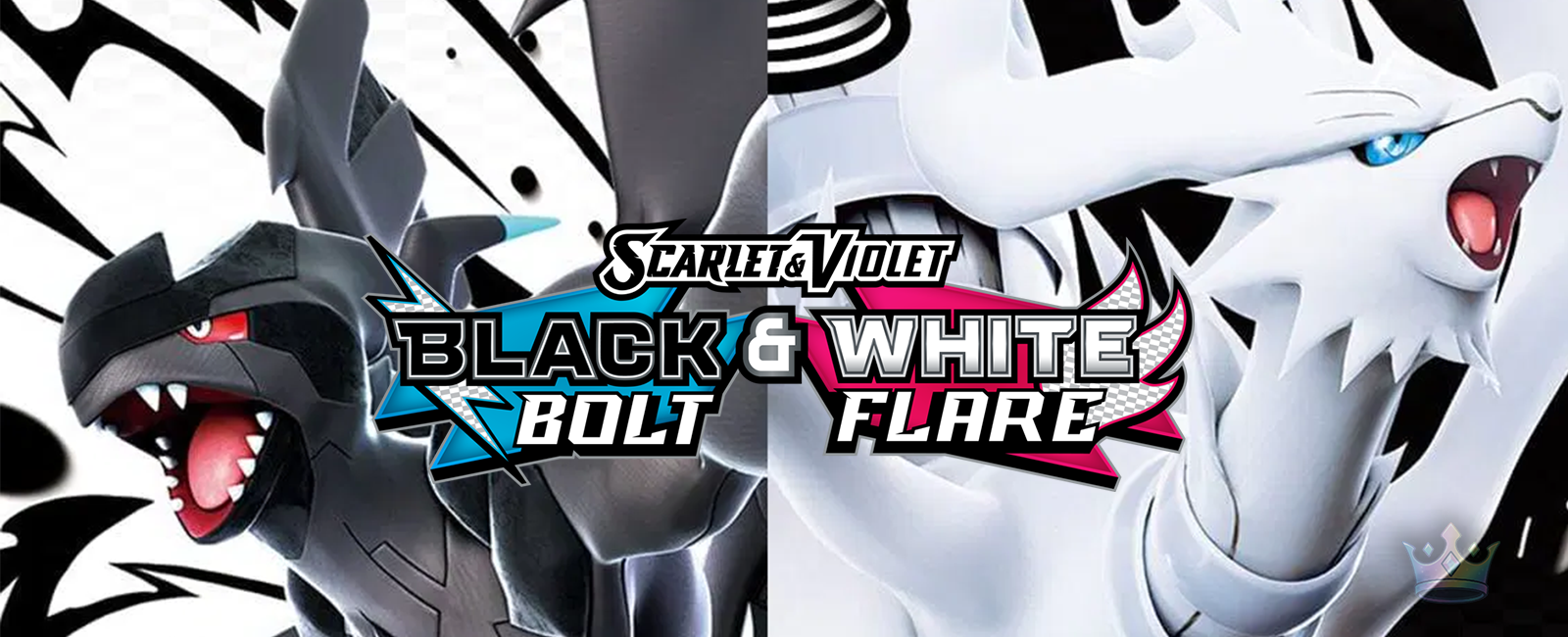 Black Bolt & White Flare - Premium Pokemon Cards